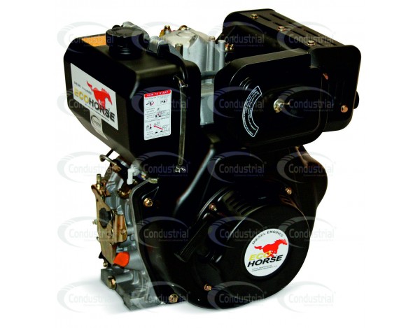 MOTOR DIESEL - ECOHORSE -...