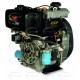 MOTOR DIESEL  - ECOHORSE - KD292F