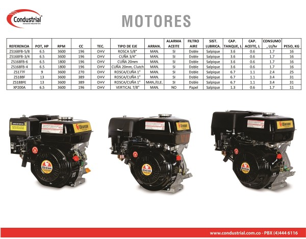 MOTOR A GASOLINA  - WARRIOR...
