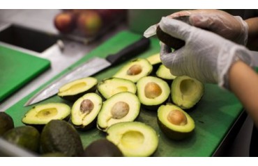 ACEITE DE AGUACATE COLOMBIANO COMENZÓ A VENDERSE EN SUPERMERCADOS DE COREA DEL SUR